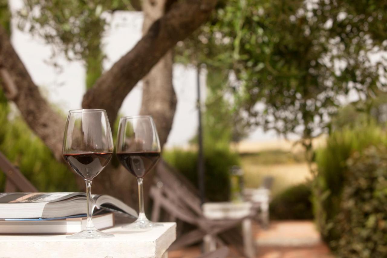 Casale Sterpeti Bed and Breakfast Magliano in Toscana Buitenkant foto