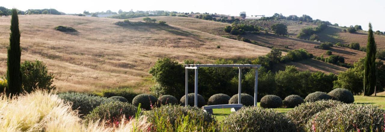 Casale Sterpeti Bed and Breakfast Magliano in Toscana Buitenkant foto