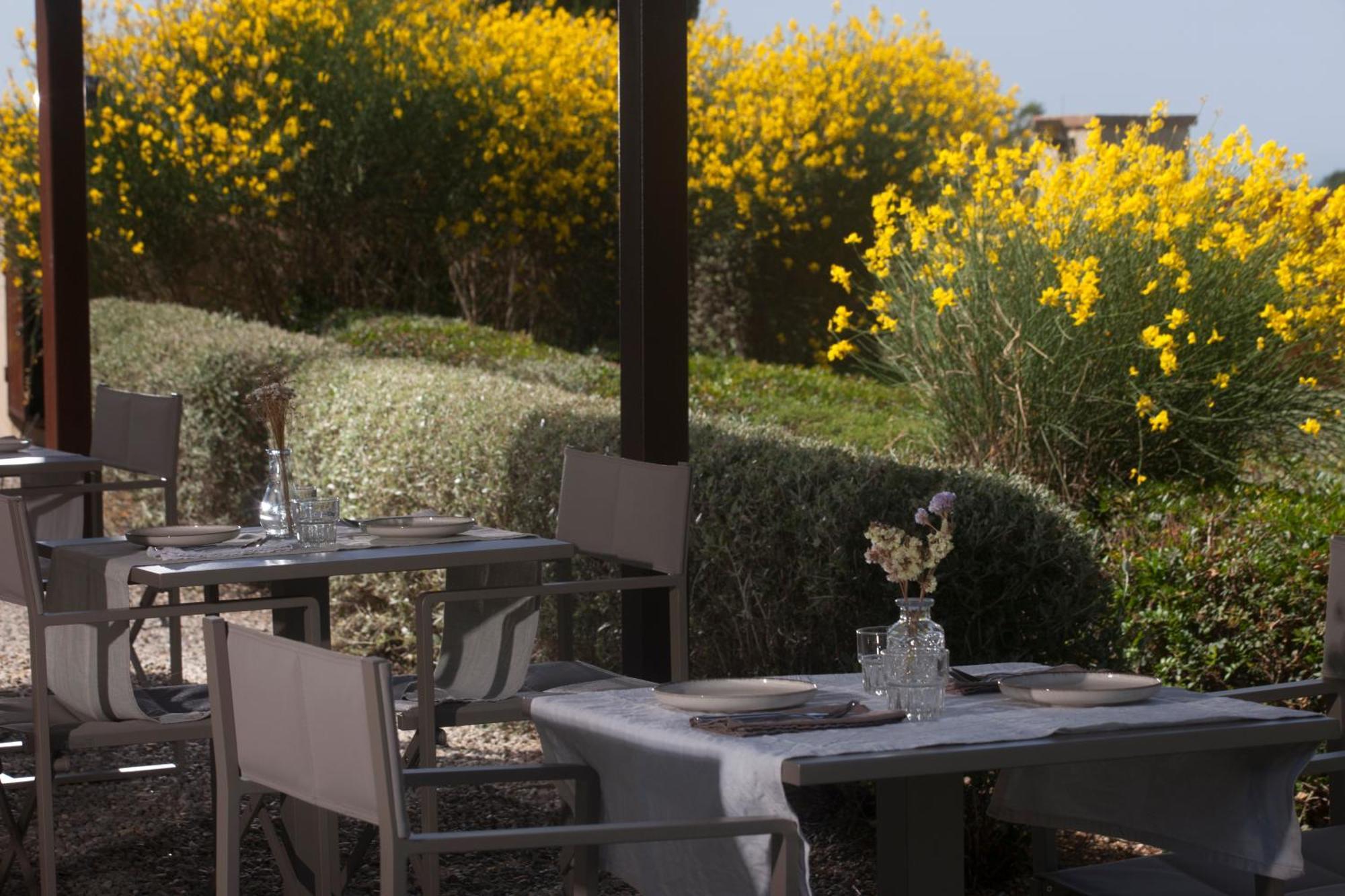 Casale Sterpeti Bed and Breakfast Magliano in Toscana Buitenkant foto