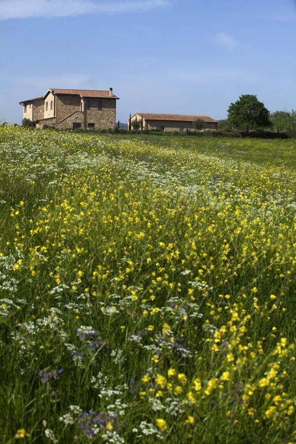 Casale Sterpeti Bed and Breakfast Magliano in Toscana Buitenkant foto