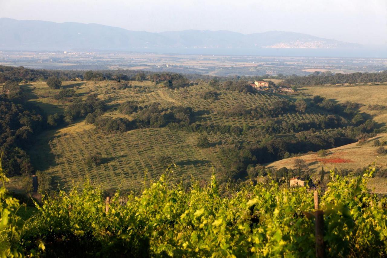 Casale Sterpeti Bed and Breakfast Magliano in Toscana Buitenkant foto